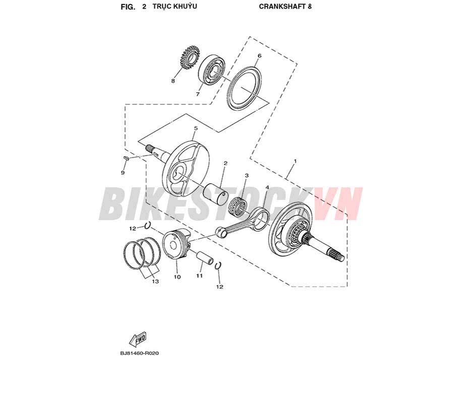 FIG-2_TRỤC KHUỶU